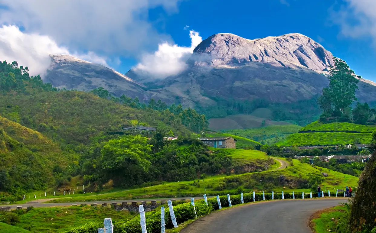 Munnar Wayanad : Kerala Hill Stations